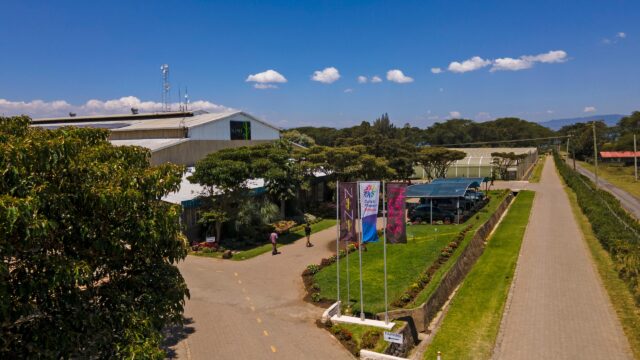 DJI_0298_optimized